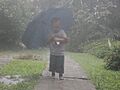Boy in the rain