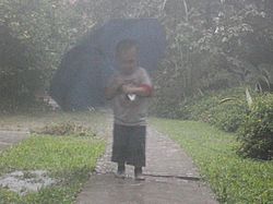 Archivo:Boy in the rain