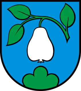 CHE Birrwil COA