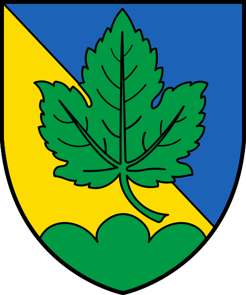 CHE Isérables COA