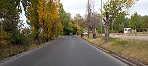 Archivo:Calle Alsina Godoy Cruz Mendoza