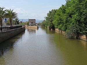 Archivo:Canal de Nules, acequia El Bras. Marjal de Nules