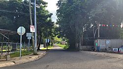 Carretera PR-637, Arecibo, Puerto Rico.jpg