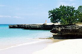 Cayosaetiabeach4.jpg