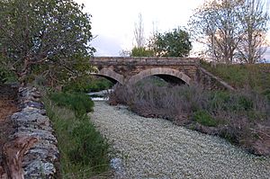 Archivo:Cerezo ponte Palomero