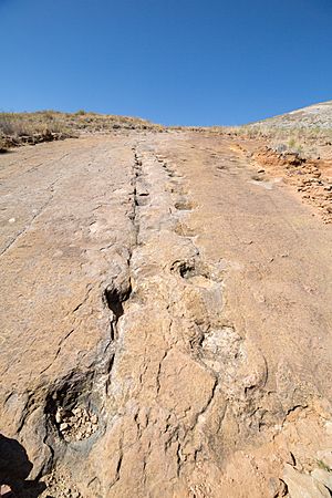 Archivo:Dinosaur footprints in ToroToro Bolivia