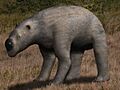 Diprotodon optatum