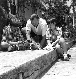 Archivo:Ernest Hemingway with sons Patrick and Gregory with kittens in Finca Vigia, Cuba