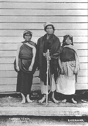 Archivo:Familia Mapuche - Chol-Chol