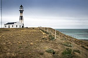 Archivo:Faro en Cabo Vírgenes 2719