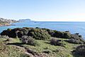 Fuerte san diego vista