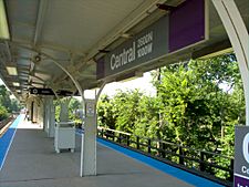 Archivo:Gerald Farinas Central Street CTA Station