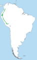 Grey-breasted Mountain-Toucan map continent without borders