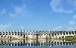 Archivo:Jayakwadi Dam