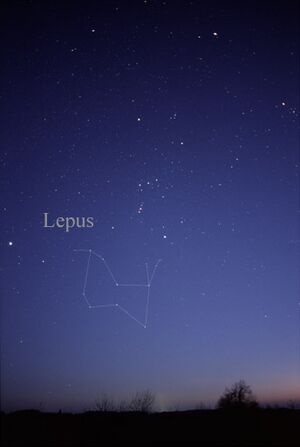 Archivo:LepusCC