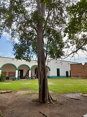 Archivo:Museo El Arenal, Jalisco. Ana Valenzuela Zapata 2023