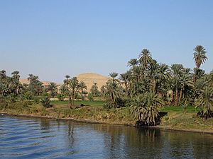 Archivo:Nile