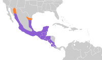 Distribución geográfica del anambé degollado.