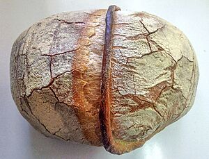 Archivo:Pan de cinta en Zaragoza