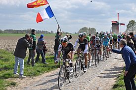 Paris Roubaix 2014 templeuve peloton.jpg