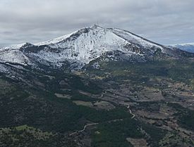 Pico Almadén.jpg