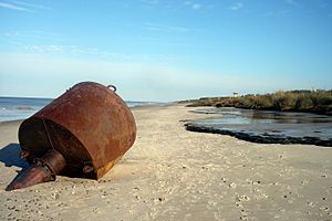 Archivo:Playa de Santa Ana - panoramio