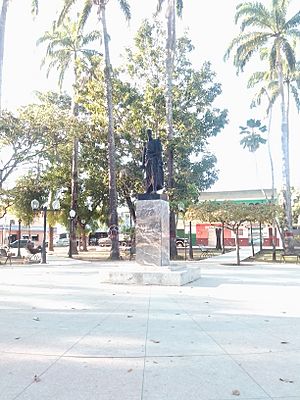 Archivo:Plaza Bolívar de Sarare en