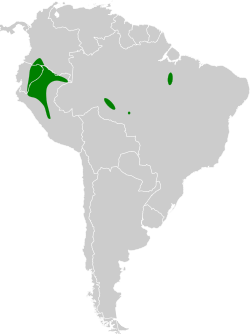 Distribución geográfica del titirijí pío.