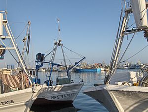 Archivo:Puerto de La Caleta