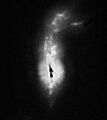 R Aquarii