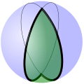 Regular digon in spherical geometry-2