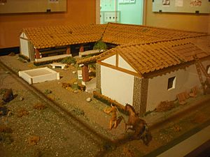 Archivo:Santa Pola. Castillo. Museu del Mar. Casa romana del Palmeral (maqueta)