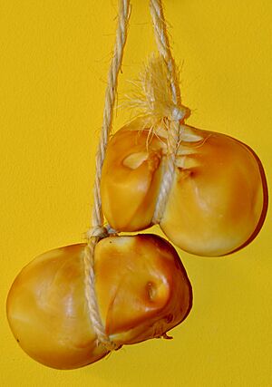 Archivo:Scamorza am Strick