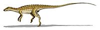 Archivo:Scutellosaurus