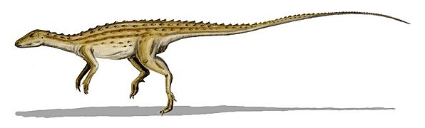 Scutellosaurus
