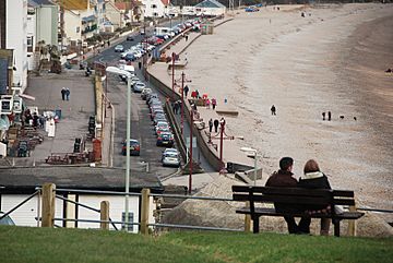 Archivo:Seaton, Seated viewpoint overlooking beach and seafront - geograph.org.uk - 1720693