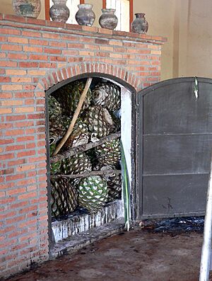Archivo:Tequila oven