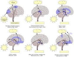 Archivo:Timeline of brain models of emotion