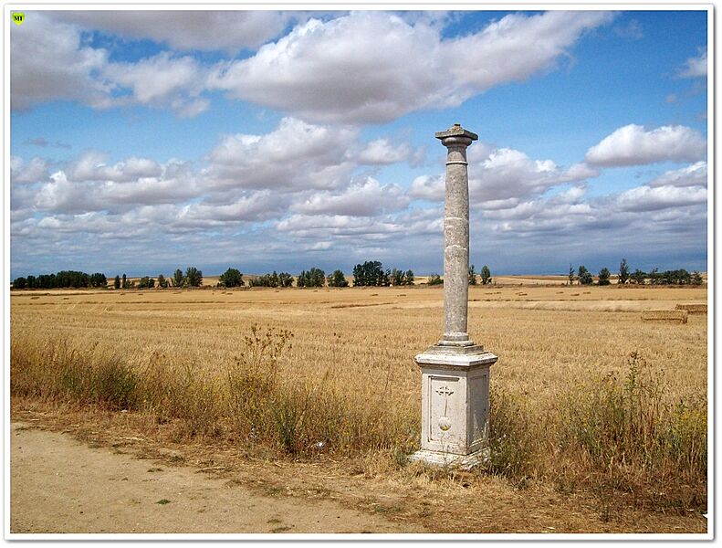 Villarmentero de campos 20