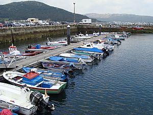 Archivo:Vista parcial del puerto de Muros en marea baja