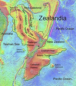 Archivo:Zealandia, topographic map