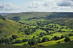 2015 Swaledale from Kisdon Hill.jpg