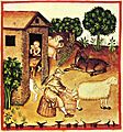 8-alimenti, latte, Taccuino Sanitatis, Casanatense 4182.