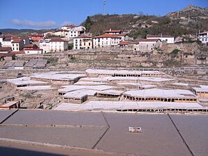 Archivo:Añana. Salinas 5
