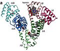 Albumin hemin complex