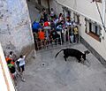 Alfara de Carles3