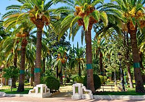 Archivo:Almendralejo - Parque de la Piedad 38