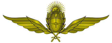 Argentine airforce wings emblem