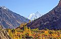 Autumn color in Hunza Valley