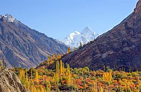 Autumn color in Hunza Valley
